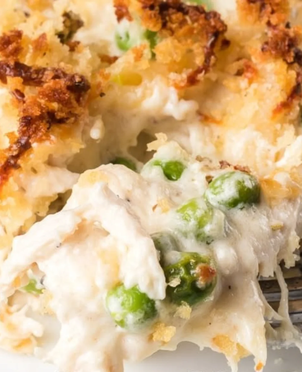 Creamy Chicken Alfredo Casserole topped with cheese and herbs